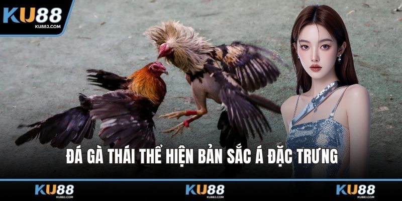 Đá gà Thái thể hiện bản sắc Á đặc trưng