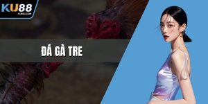 Đá gà tre
