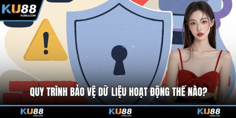 Quy trình bảo vệ dữ liệu hoạt động thế nào?